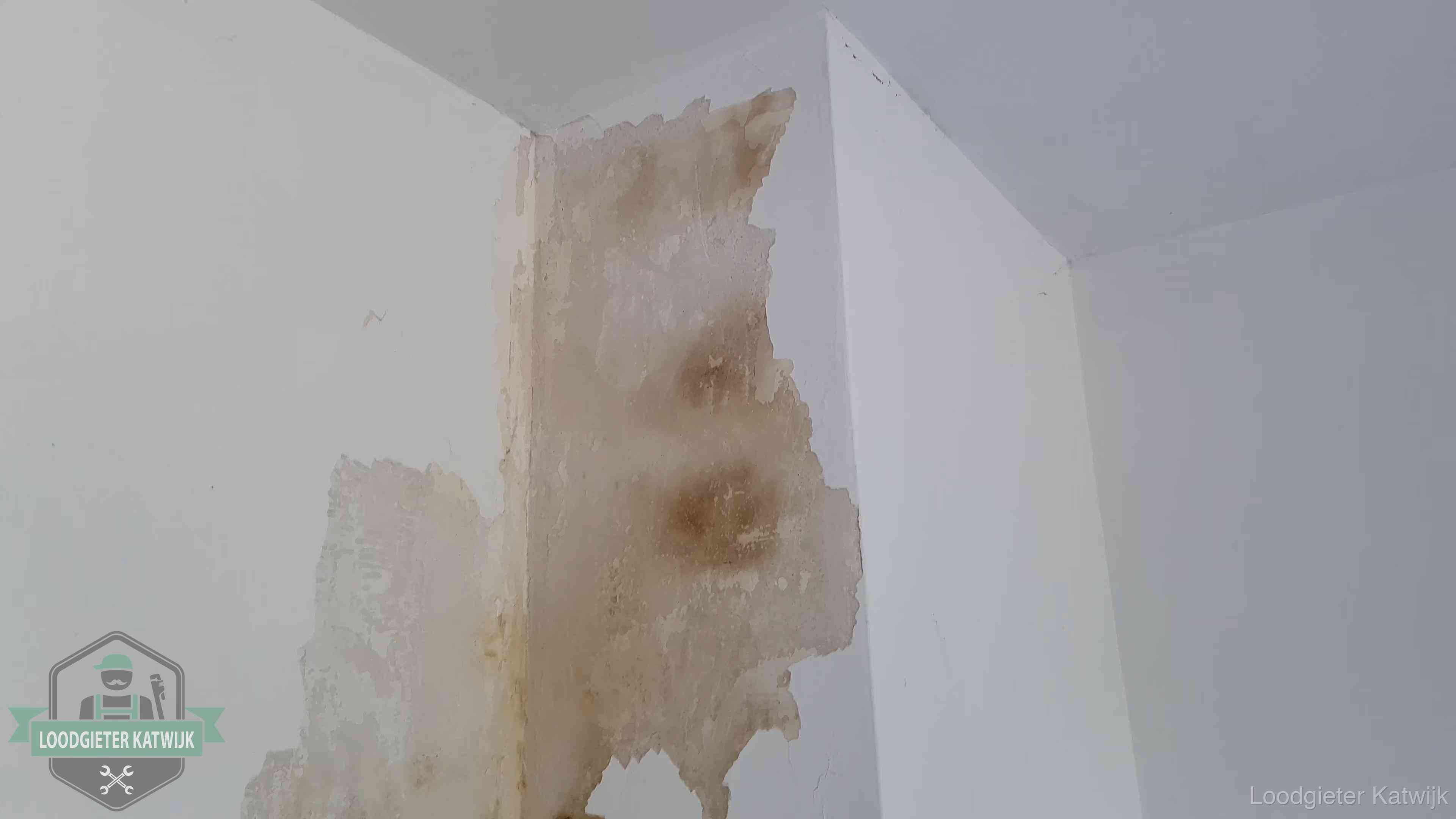 Daklekkage herkennen in Katwijk Bruine vochtkringen en afbladderend stucwerk op een binnenmuur in Katwijk, een eerste teken van daklekkage