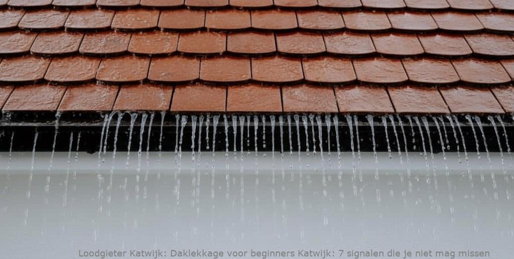 Daklekkage Voor Beginners Katwijk