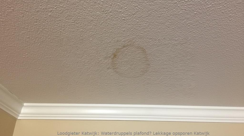 Lekkage Plafond Katwijk