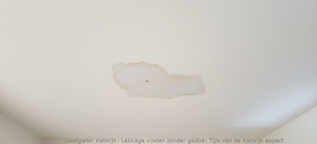 Lekkage Vinden Katwijk