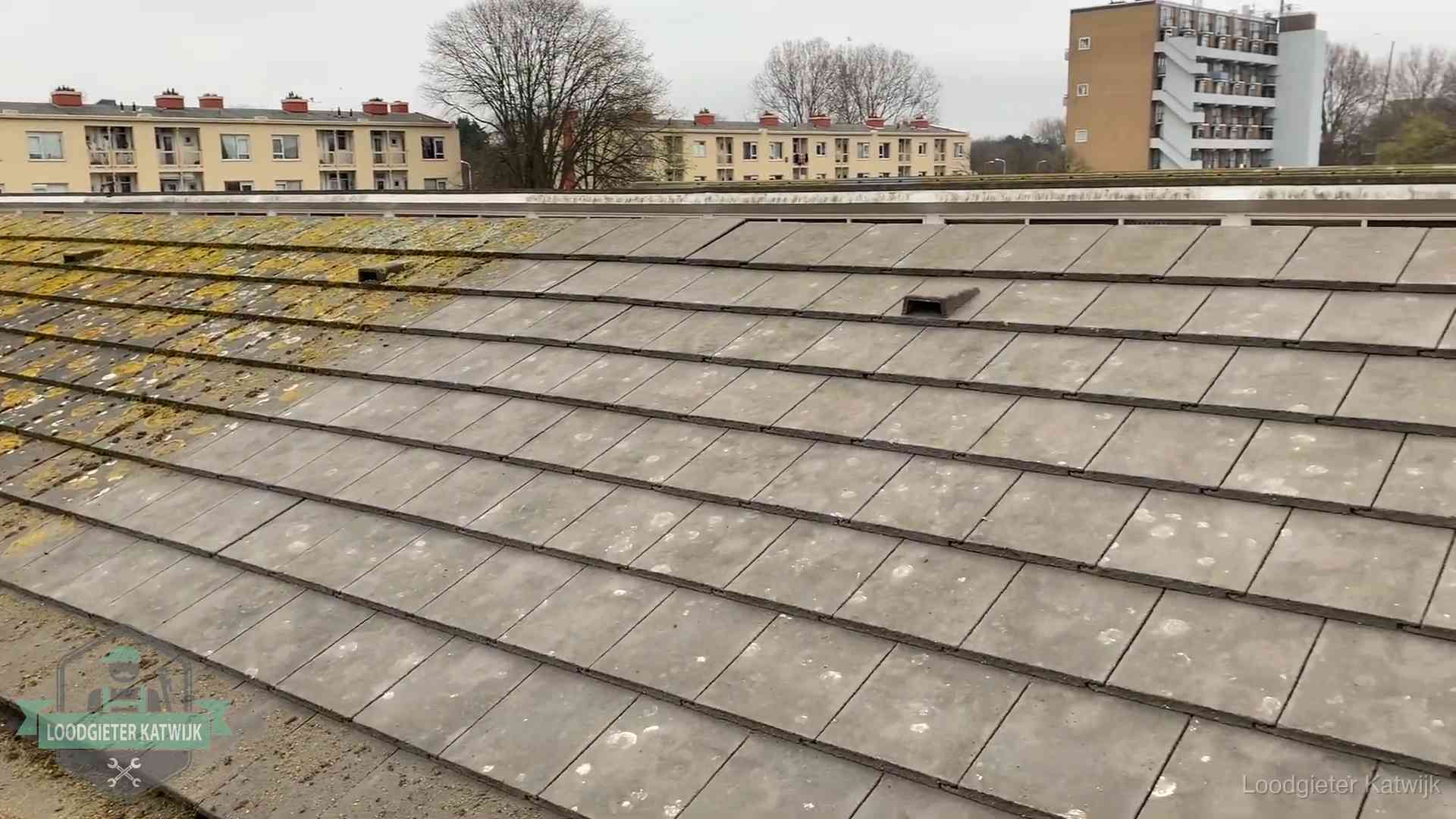 Dakpannen op een schuin dak in Katwijk Schuin dak met betonpannen vol mos in Katwijk, een risico op lekkage bij de pannen
