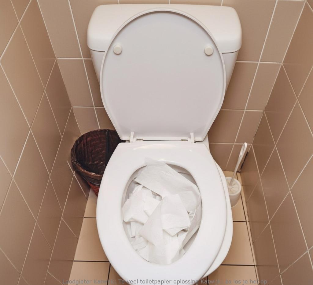 Te Veel Toiletpapier Oplossing Katwijk