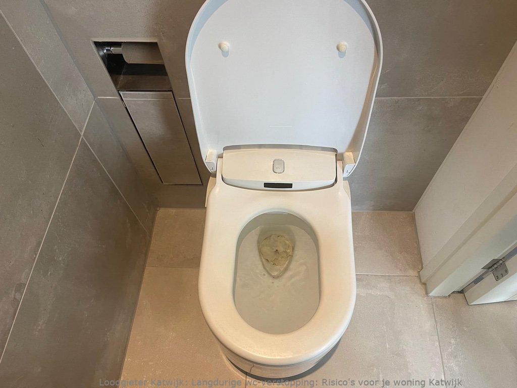 Toilet Verstopping Katwijk