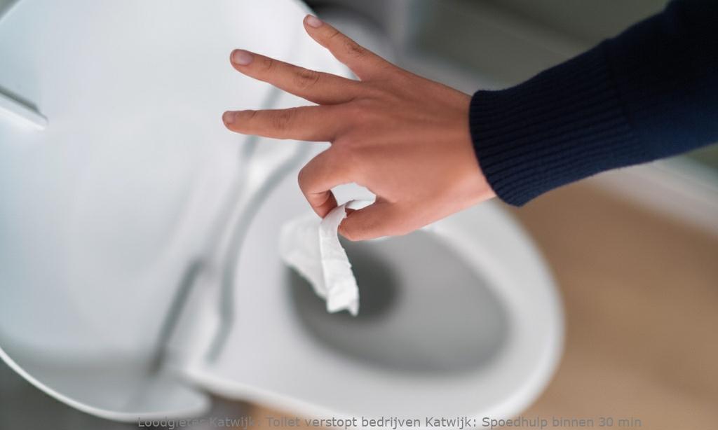 Toilet Verstopt Bedrijven Katwijk