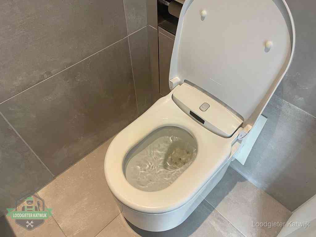 Wc Verstopt In Katwijk